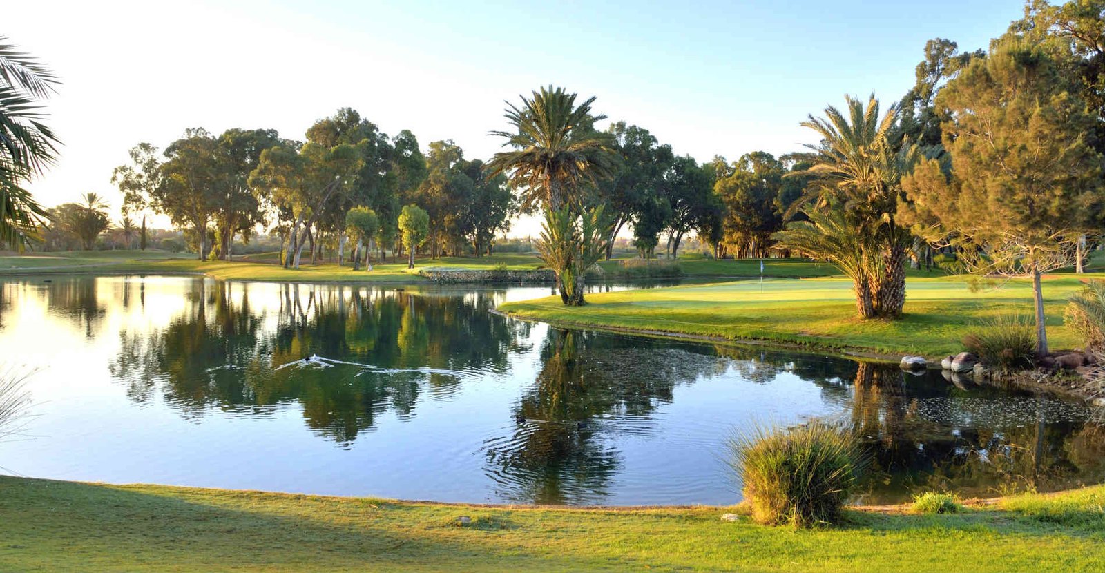 Collection Golf Luxe : Agadir Riu Tikida Palace